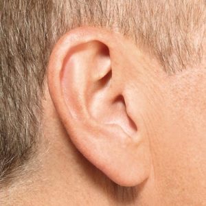 ear